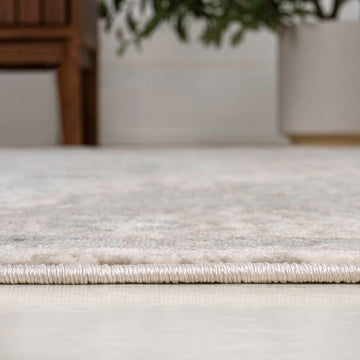 Jerica modern Persian Vintage Medallion Area Rug